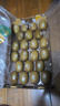佳沛（zespri）新西蘭  陽光金奇異果巨大果22粒原箱 單果重約144-175g 獼猴桃 曬單實拍圖
