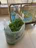 億色適用蘋果14promax鋼化膜iPhone14promax手機(jī)膜pm鋼化高清防指紋全包超透貼膜全屏覆蓋防摔前保護(hù)膜 曬單實(shí)拍圖