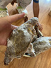 拾鮮生 梭子蟹活凍舟山特大野生螃蟹 新鮮冷凍海蟹海鮮水產(chǎn) 3斤梭子蟹5-7兩/只源頭直發(fā) 曬單實(shí)拍圖