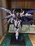 高達模型MGEX強襲自由紅異端白雪姬菲尼克斯獨角獸元祖拼裝模型 MB限定強襲自由(浮游炮+地臺) 模型(送工具送LED燈帶 曬單實(shí)拍圖