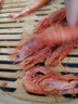 繽鮮 超大紅魔蝦 遠洋捕撈胭脂魔鬼紅蝦鮮活冷凍生腌刺身級生鮮蝦類(lèi) 刺身級紅魔蝦 500g(凈重)  16-19cm 曬單實(shí)拍圖