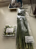 【有機】韭菜250g 曬單實拍圖