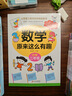 數(shù)學(xué)原來這么有趣·小學(xué)二年級 數(shù)學(xué)思維訓(xùn)練二年級 根據(jù)數(shù)學(xué)教材編寫暑假作業(yè) 一升二暑假銜接 小升初暑假銜接 曬單實拍圖