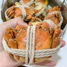 【活蟹】陽澄沁沁大閘蟹 鮮活大湖螃蟹全母蟹 海鮮水產(chǎn)生鮮禮盒裝 【八只裝】全母蟹2.8-3.1兩 曬單實(shí)拍圖