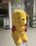 迪士尼（Disney）軟綿抱抱系列維尼熊妙妙貓毛絨玩偶掛件鑰匙扣生日七夕情人節(jié)禮物 小熊維尼毛絨掛件 曬單實拍圖