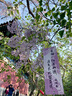 艾諾絲雅詩(shī)【商場(chǎng)同款】春秋新品設計感通勤百搭顯瘦微喇褲牛仔褲女30723203 牛仔蘭 M 曬單實(shí)拍圖