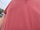 HLA海瀾之家短袖POLO衫男中華龍系列翻領大碼涼感短袖男 曬單實拍圖