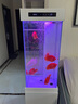 瑞龍智能魚缸水族箱小型客廳落地靠墻家用造景超白玻璃生態(tài)底濾金魚缸 40cm長肌膚白+超白玻璃+觸控顯示屏 40cm寬*155cm高（缸高90+柜高65） 曬單實(shí)拍圖