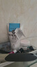 美麗蓓菲森緹澳Q10牛奶洗面奶氨基酸潔面乳泰國進口學生禮物 Beauty Buffet牛奶洗面奶100ml*2 曬單實拍圖