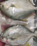 翔泰海南深海金鯧魚(yú)700g 2條 燒烤 火鍋 生鮮魚(yú)類(lèi) BAP認(rèn)證 海鮮水產(chǎn) 曬單實(shí)拍圖