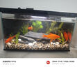 米家（MIJIA）智能生態(tài)魚缸還原自然生態(tài) 智能魚缸+濾芯套裝 曬單實拍圖