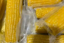 十月稻田 黃糯玉米 3.52斤(220g*8根) 東北甜黏玉米棒 早餐苞米 真空包裝 曬單實拍圖