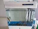 西龍魚(yú)缸一體缸自循環(huán)免換水立式客廳家用落地靠墻帶柜中大型生態(tài)魚(yú)缸 600C魚(yú)缸+木地柜(帶顯示器)白色 其他顏色請 曬單實(shí)拍圖