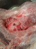 促銷新鮮10斤腱子肉現(xiàn)殺整根前腱后腱低脂健身豬肉非牛肉牛腱子 5斤裝（送鹵料包) 順豐包郵,急速發(fā)貨 曬單實拍圖