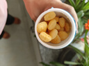 禾泱泱烤芝士三角泡芙原味30g 高鈣含蛋白寶寶零食小巧易抓稻鴨大米 曬單實(shí)拍圖
