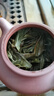 小罐茶園【精品系列量販裝】普洱生茶（散茶）精品150g茶葉自己喝 曬單實(shí)拍圖