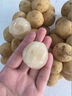 泰國(guó)黃皮龍宮果椰色果愛(ài)情果龍貢果新鮮稀有進(jìn)口孕婦寶寶水果順豐 1斤 整串裝 曬單實(shí)拍圖