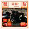 元牧希M3原切牛肉卷凈重1斤 酸湯肥牛卷高端火鍋烤肉片燉煮烤肉食材生鮮 曬單實拍圖