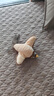 KimPets正版授權(quán)狂嗨抖抖鳥(niǎo)電動(dòng)貓咪玩具發(fā)聲仿真小鳥(niǎo)狩獵自嗨神器逗貓棒 抖抖麻雀【振翅發(fā)聲 送充電線】 曬單實(shí)拍圖