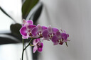 尼康（Nikon）【國家補(bǔ)貼】D780全畫幅數(shù)碼單反相機(jī) 高清視頻拍攝VLOG攝影 D780 單機(jī)（兼顧靜態(tài)影像與視頻） 曬單實(shí)拍圖