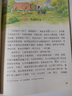 新華書(shū)店官方直發(fā)正版小學(xué)一二三四五六年級上冊下冊語(yǔ)文書(shū)課本全套12本教材人教版123456年級上下冊語(yǔ)文教材教科書(shū) 人民教育出版社 語(yǔ)文五年級上下冊【2本套裝】 曬單實(shí)拍圖