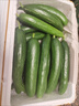 煙臺水果黃瓜5斤現摘新鮮直供蔬菜水果小黃瓜清爽脆口整箱批發(fā) 水果黃瓜 5斤 曬單實(shí)拍圖