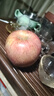 正宗煙臺蘋果棲霞紅富士脆甜新鮮水果整箱生鮮蘋果水果 凈重4.5斤75mm 曬單實拍圖