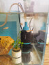 創(chuàng)寧魚缸變頻底吸潛水泵 超低水位假山池循環(huán) 流量可調(diào)抽水吸糞便 新款底吸【9W】流量400-850L可調(diào) 曬單實拍圖