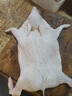 趕牛人白條小乳豬新鮮整只脆皮廣式烤乳豬半成品小香豬精品小耳朵豬 【整只5斤】去內(nèi)臟乳豬 現(xiàn)殺包健康 曬單實(shí)拍圖