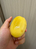 佳沛（zespri）新西蘭陽光金奇異果6個裝單果約86-103g源頭直發(fā) 曬單實拍圖