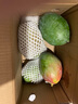 京鮮生 攀枝花凱特芒果 凈重4.5斤 單果300g+ 生鮮水果源頭直發(fā) 曬單實(shí)拍圖