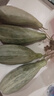 谷真羊角蜜甜瓜 5斤現(xiàn)摘脆瓜新鮮應(yīng)季香瓜超甜整箱批發(fā)價(jià)現(xiàn)摘現(xiàn)發(fā) 精選羊角蜜 3斤 曬單實(shí)拍圖