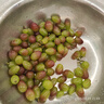 京鮮生遼寧茉莉香葡萄無籽香葡萄1.8-2.2斤裝葡萄提子生鮮水果源頭直發(fā) 曬單實(shí)拍圖
