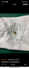 姜小牙上學(xué)記（套裝共4冊(cè)）米小圈姊妹篇注音版 課外閱讀 閱讀 課外書 一升二銜接 小升初銜接 曬單實(shí)拍圖