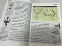 山海經(jīng)徐客編著 四年級上冊必讀課外書小學(xué)生版正版全集原版原著無刪減 白話彩圖版 寫給孩子的中國古代神話故事人教版兒童版 徐克著 現(xiàn)代出版社 快樂讀書吧 袁珂編著 希臘神話 施瓦布 山海經(jīng) 徐客編著 曬單實拍圖