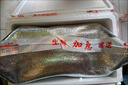 新鮮豬蹄散養(yǎng)現(xiàn)殺整只帶筋小香豬豬蹄冷凍豬手農家前后蹄整箱批發(fā) 帶筋豬蹄6只 曬單實拍圖