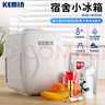 科敏4L車載冰箱迷你小冰箱母乳冷藏小型冰箱加熱保溫箱戶外家居用品 曬單實拍圖