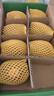 佳沛（zespri）新西蘭陽光金奇異果 8個裝 特大果單果重約122-146g 水果獼猴桃 曬單實(shí)拍圖