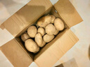 新鮮土豆現(xiàn)挖現(xiàn)發(fā)山東正宗黃心黃肉當(dāng)季蔬菜馬鈴薯洋芋薯?xiàng)l3兩起 山東土豆帶箱2斤 中大果 曬單實(shí)拍圖