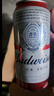 百威啤酒TOP淡色拉格450ml*18聽整箱裝新老包裝交替發(fā)貨 七夕送禮  曬單實拍圖