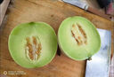 正宗玉菇甜瓜水果 南匯冰激凌甜瓜白玉菇應(yīng)季現(xiàn)摘水果 5斤【凈重4.5斤】1-3個(gè) 【超值裝】 曬單實(shí)拍圖