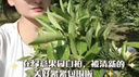 萬欣兒中長款長袖防曬開衫外套女夏季大碼胖mm顯瘦寬松吊帶外搭披肩上衣 白色 M 建議95-110斤 曬單實拍圖