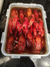 蟹家大院花雕熟醉特大小龍蝦冰鎮(zhèn)即食鮮嫩美味肉質(zhì)飽滿18只裝1800g盒裝 蟹青龍花雕熟醉特大小龍蝦18只裝 送花生、姜茶 曬單實(shí)拍圖