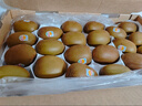 佳沛（zespri）新西蘭  陽光金奇異果16粒禮盒經(jīng)典果單果約 77-103g 水果 獼猴桃 曬單實(shí)拍圖