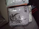 綠之源汽車(chē)活性炭包新車(chē)除甲醛除異味竹炭包 室內(nèi)專用除臭車(chē)載凈化2kg 曬單實(shí)拍圖