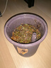 星坊茶桶茶渣桶茶葉垃圾桶濾茶桶加厚排水桶茶水分離接泡茶臺(tái)廢水大號(hào) 曬單實(shí)拍圖