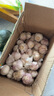 精選新鮮山東大蒜干蒜多瓣蒜頭蔬菜批發(fā)產(chǎn)地直發(fā)大蒜頭 優(yōu)選 5斤 (果徑≥3.5cm) 曬單實(shí)拍圖