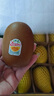 佳沛（zespri）新西蘭  陽光金奇異果16粒禮盒經(jīng)典果單果約 77-103g 水果 獼猴桃 曬單實拍圖