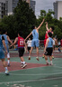 VIGORKEY活力鑰骨動(dòng)力氨糖軟骨素關(guān)節(jié)修復(fù)劑中老年增強(qiáng)骨質(zhì)運(yùn)動(dòng)關(guān)節(jié)損傷 2瓶基礎(chǔ)裝【關(guān)節(jié)添活力】 曬單實(shí)拍圖