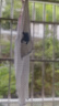 EP雅瑩女裝 醋酸珠光感短袖開(kāi)衫 V領(lǐng)涼感醋酸棉罩衫 2025夏季新款9153A 白色 M 曬單實(shí)拍圖